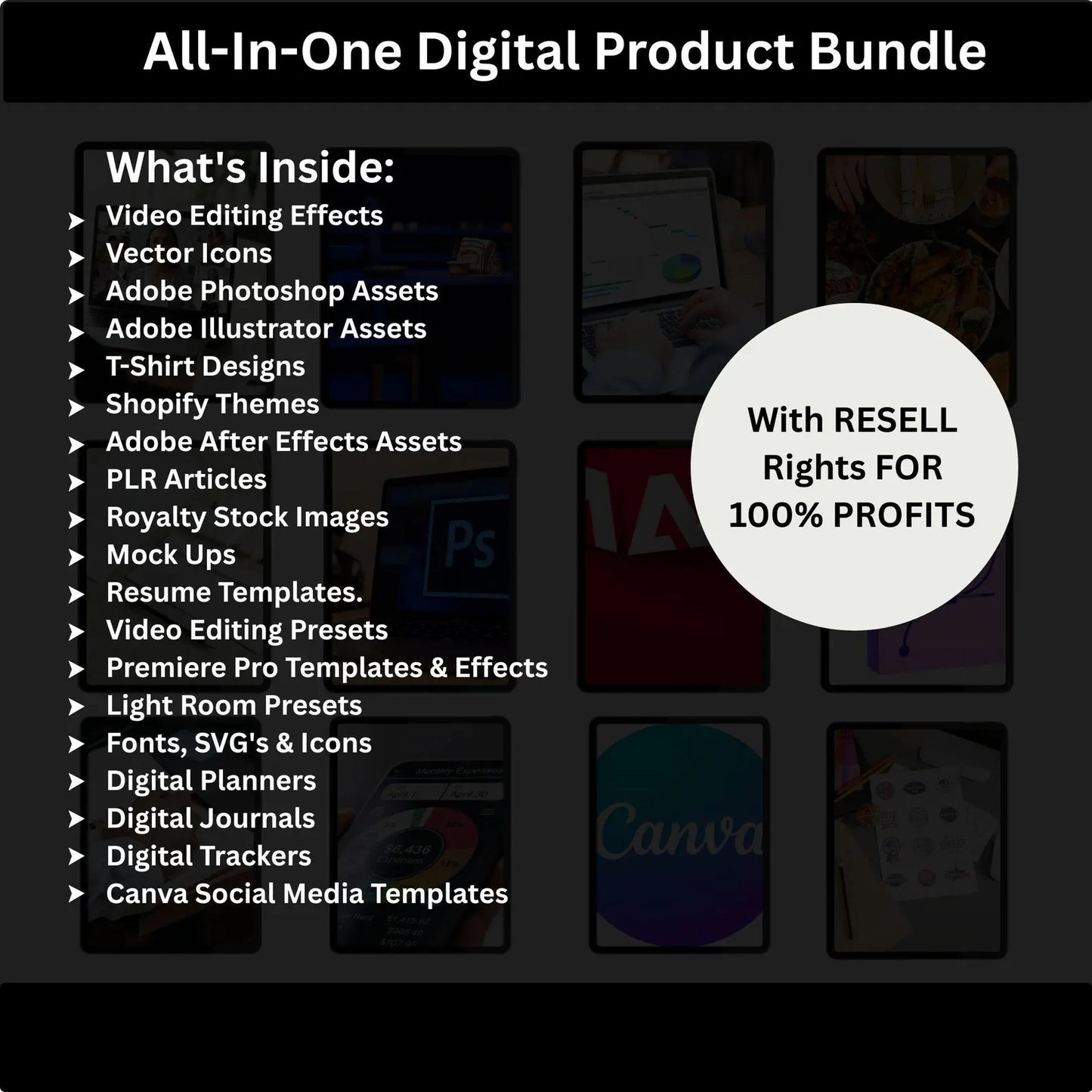 Ultimate PLR & MRR Digital Bundle for Passive Income”
