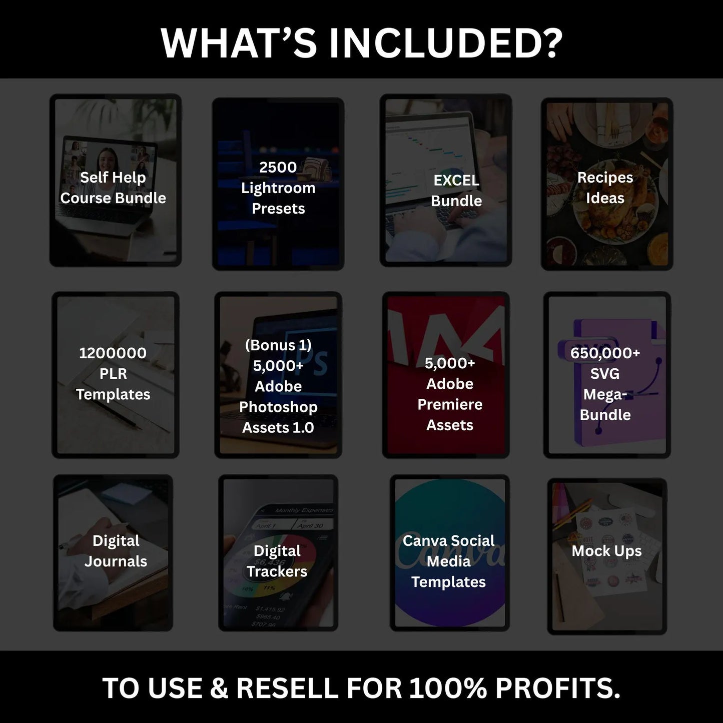 Ultimate PLR & MRR Digital Bundle for Passive Income”