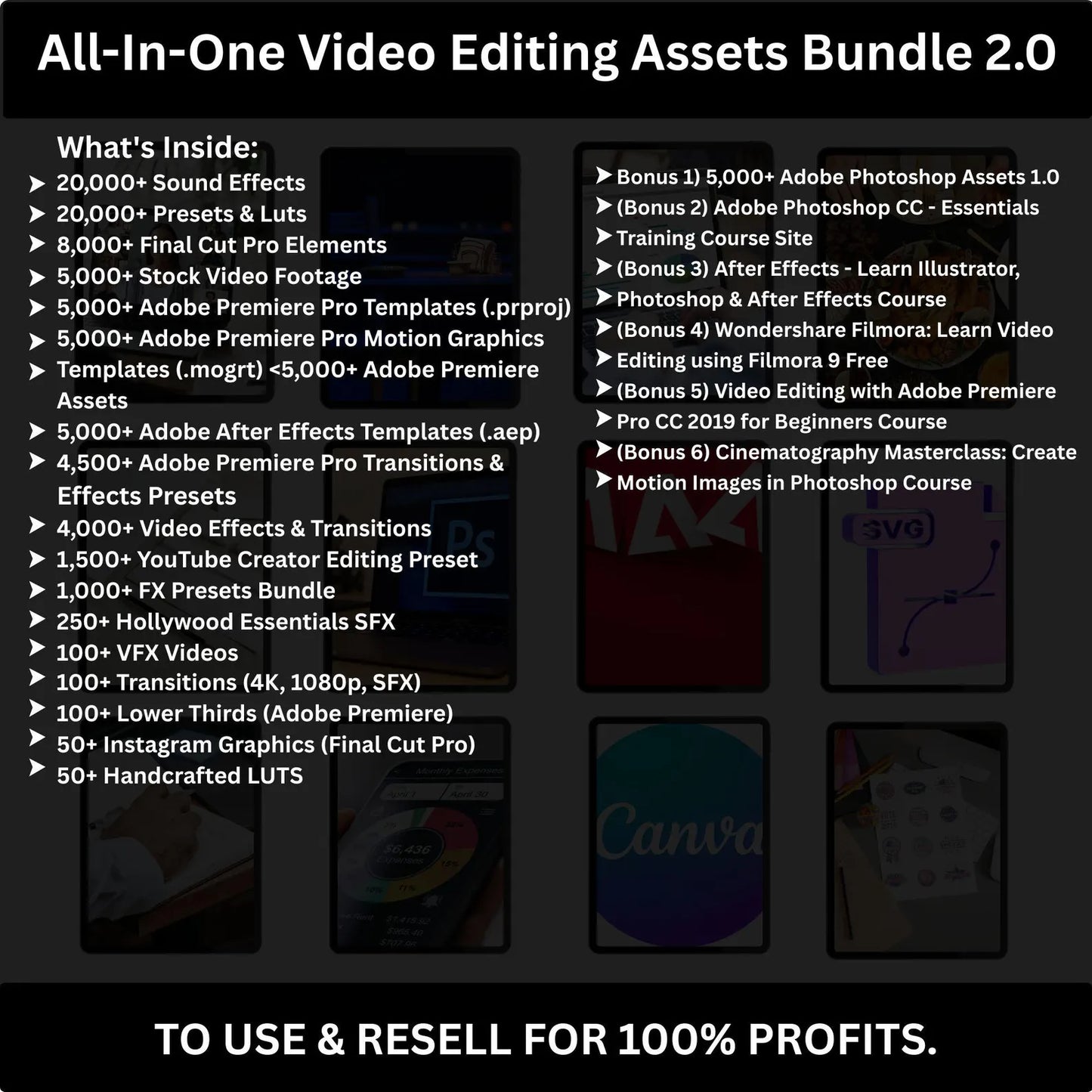 Ultimate PLR & MRR Digital Bundle for Passive Income”