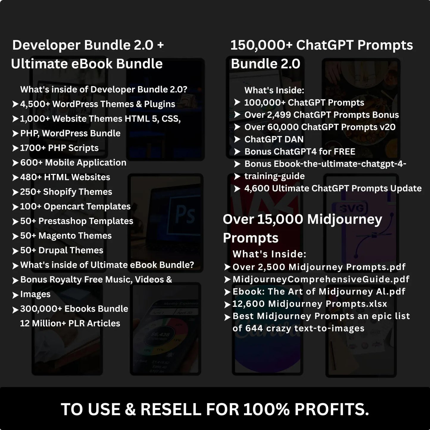 Ultimate PLR & MRR Digital Bundle for Passive Income”